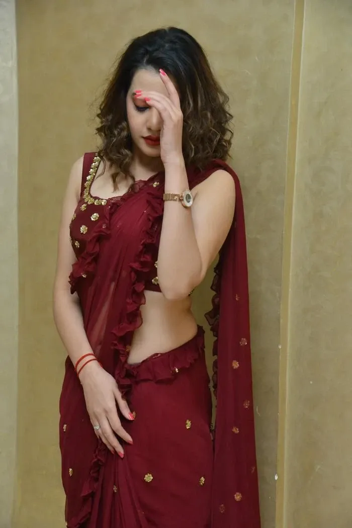 Diksha Panth In Maroon Saree At Movie Press Meet